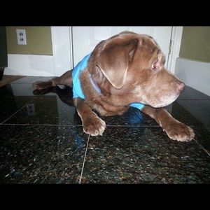 Meet your Posher, Geraldine